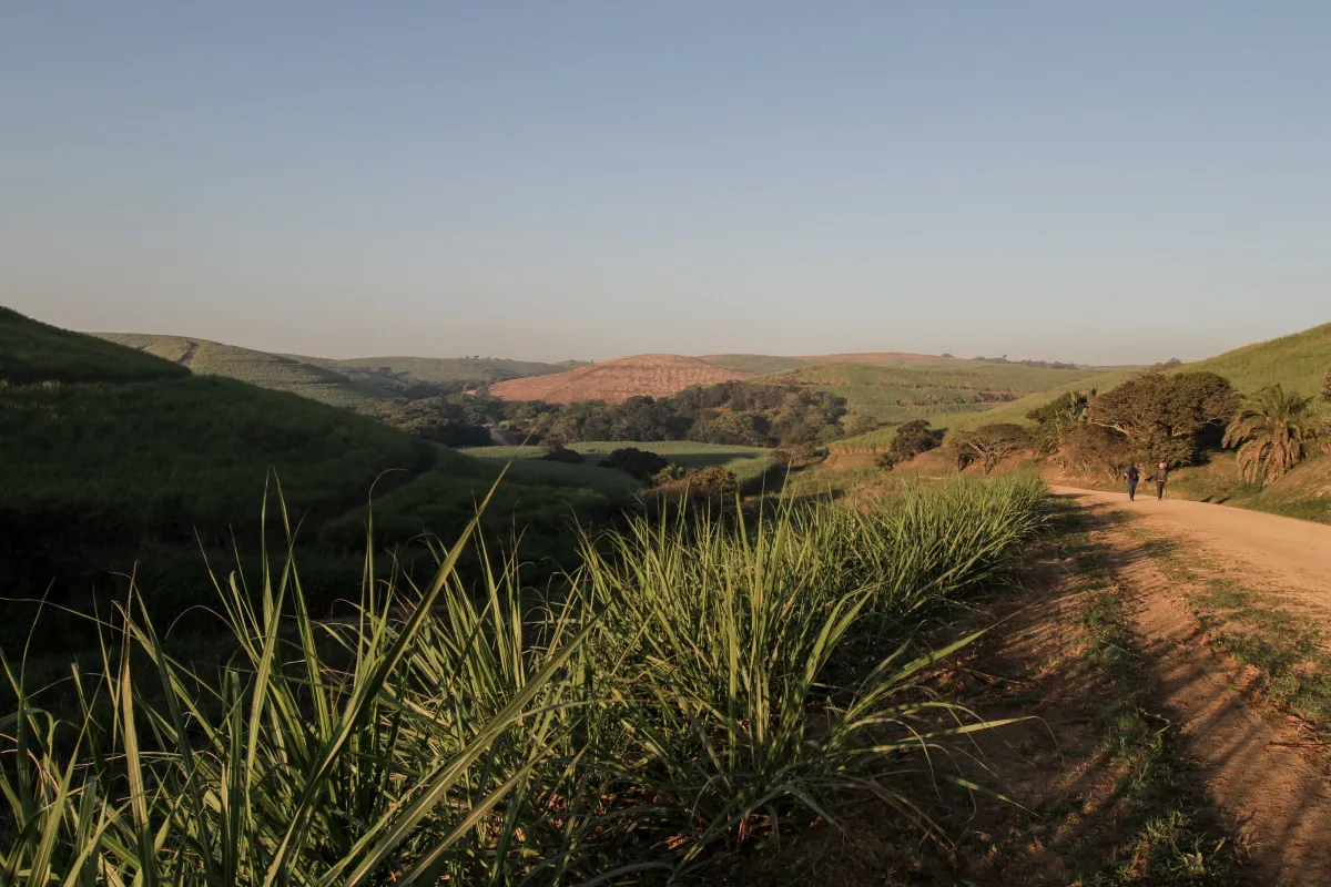 S. Africa's Land Seizure Talk Risks Farm Finance, Agbiz Says (1)