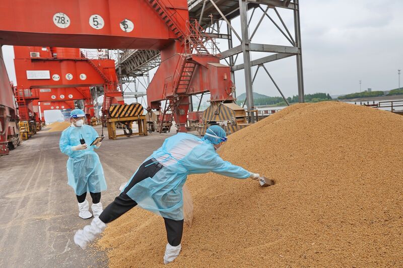 Imported Soybeans Arrive In Nantong