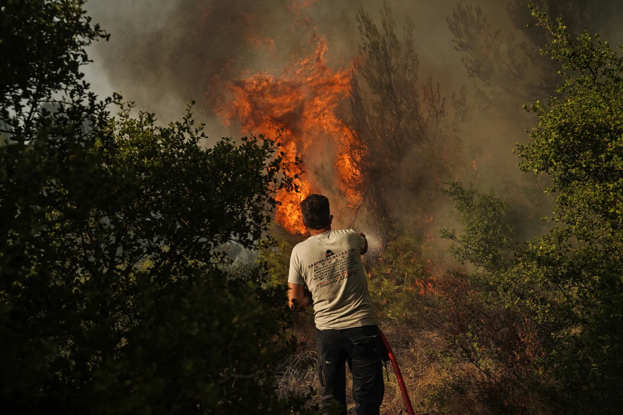 Volunteers work to extinguish a wildfire near the town of Stamata, northeast of Athens, on June 30.