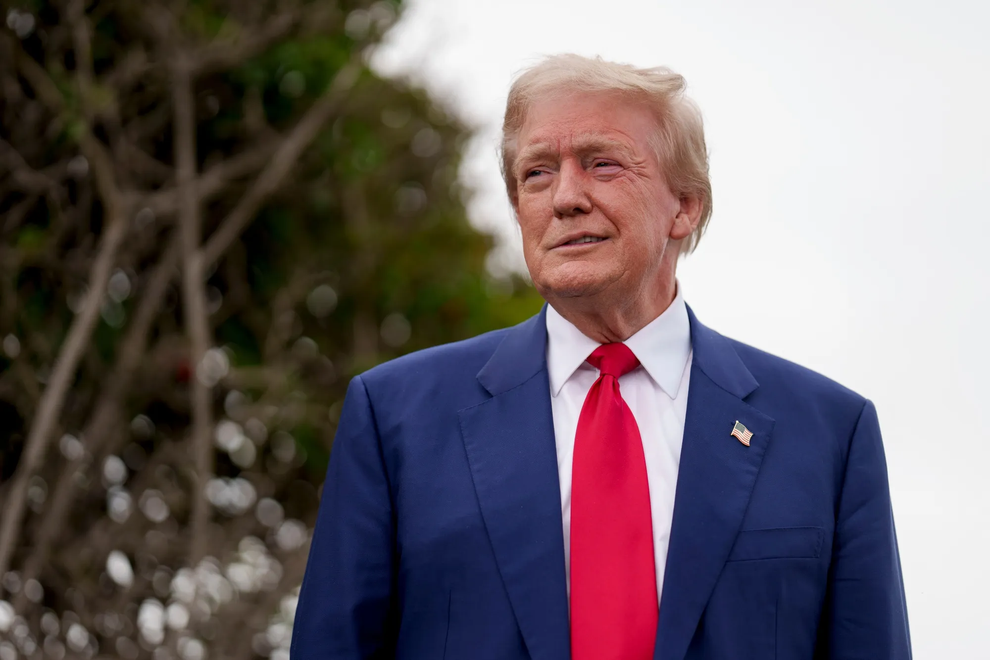 Donald Trump&nbsp;