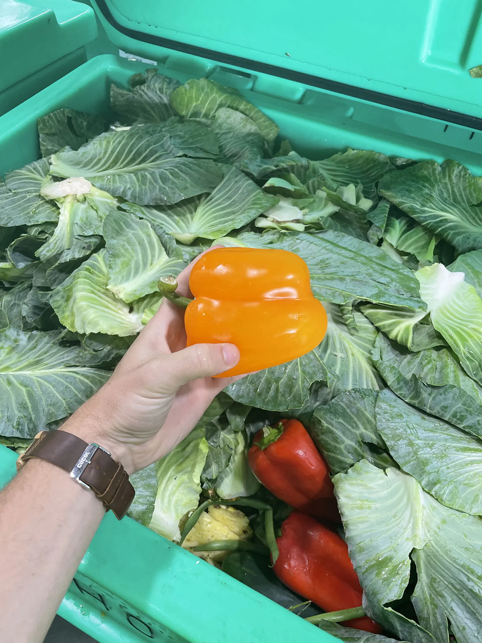 Vegetables received by Do Good Foods