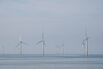 Wind Farm