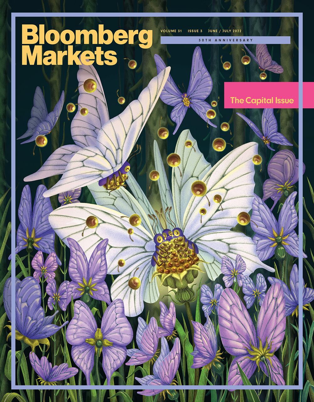 The Capital Issue