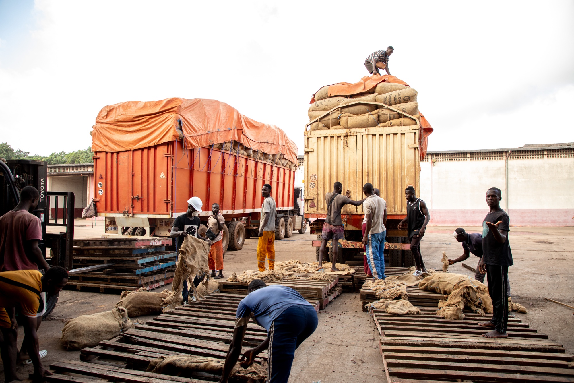 Delivery trucks, carrying cocoa beans, outside a facility in San-Pedro, Ivory Coast, on Friday, Oct. 27, 2023. Cocoa prices are at an all-time high as production in West Africa declines. Now an EU regulation meant to stop deforestation threatens to push prices even higher.