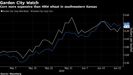 Surging Corn Prices Put U.S. Wheat Back in the Feed Trough