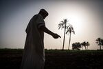 A farmer scatters seeds in a field near Luxor, Egypt.