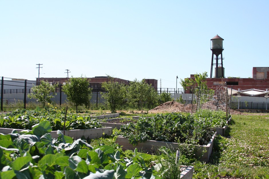 The view from the Detroit Market Garden. 
