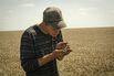 Ukrainian Wheat Harvest as Russia Threatens Global Food Supplies