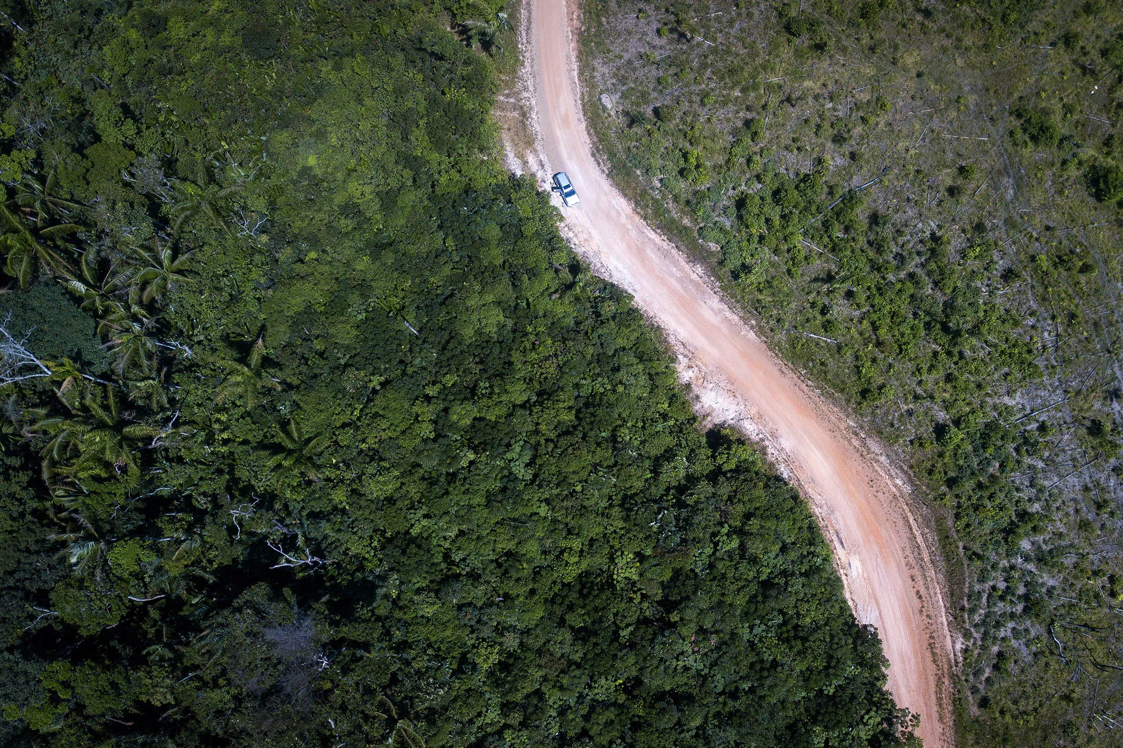 A rural road bisects&nbsp;an area of deforestation in El Capricho, Colombia.