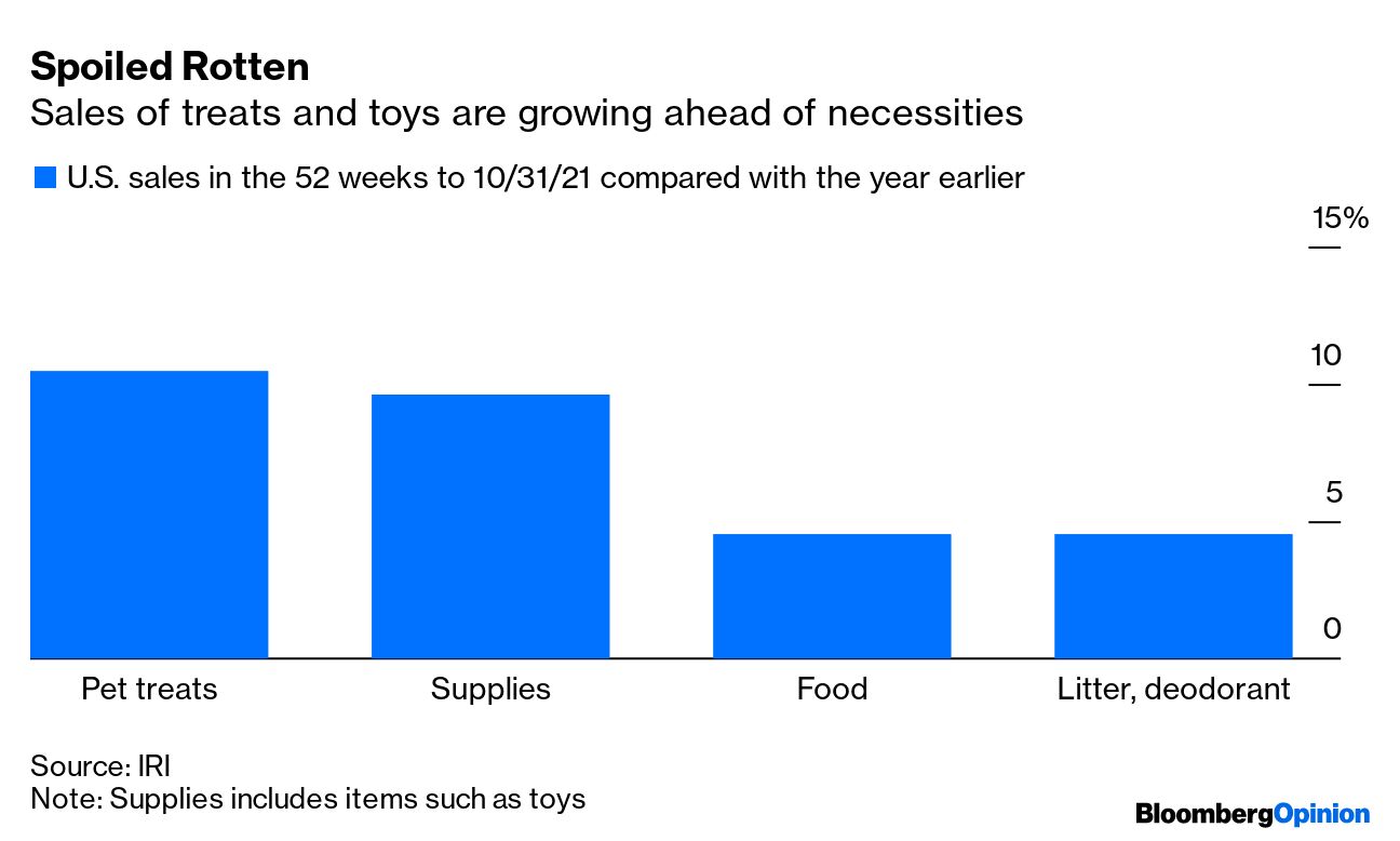 Advent Calendars For Dogs? Everyone Is Buying Pet Gifts This Christmas -  Bloomberg