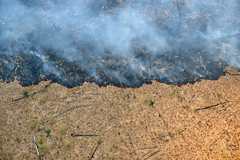 An area of Amazon rainforest deforested by illegal fire,&nbsp;Amazonas State, Brazil.