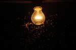 relates to A New Frontier in Disease Prevention: Lightbulbs