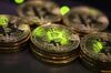 Bitcoins
