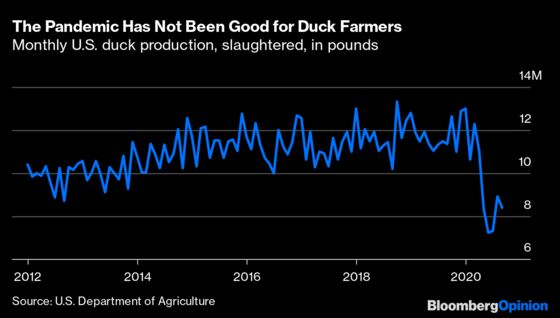 Where Your Thanksgiving Meal Comes From