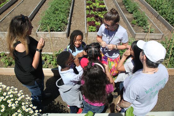 Thain Starts Summer With a Succession Party at Botanical Garden