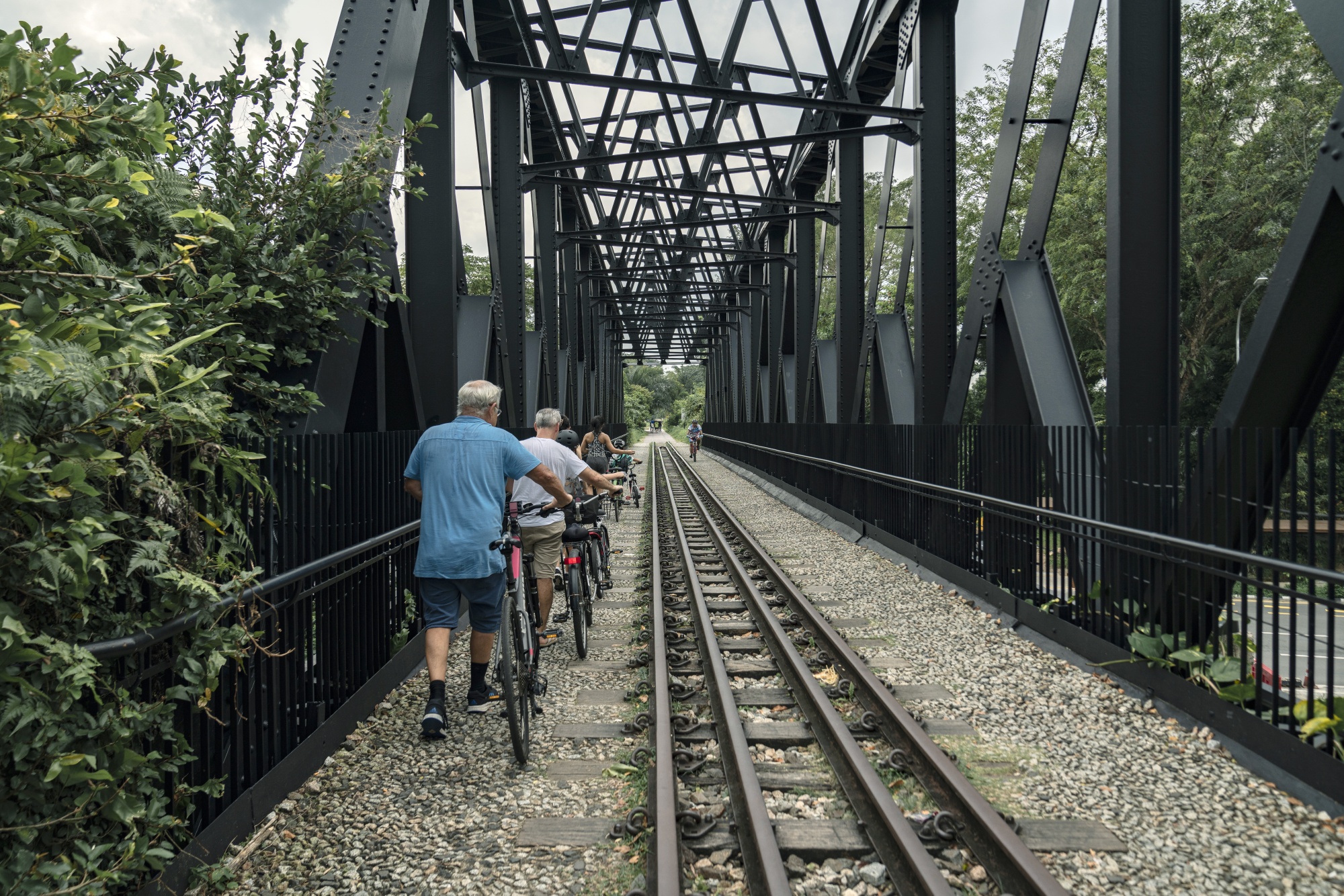 Singapore Transforms Rail Line Into Nature Reserve Instead of Development -  Bloomberg