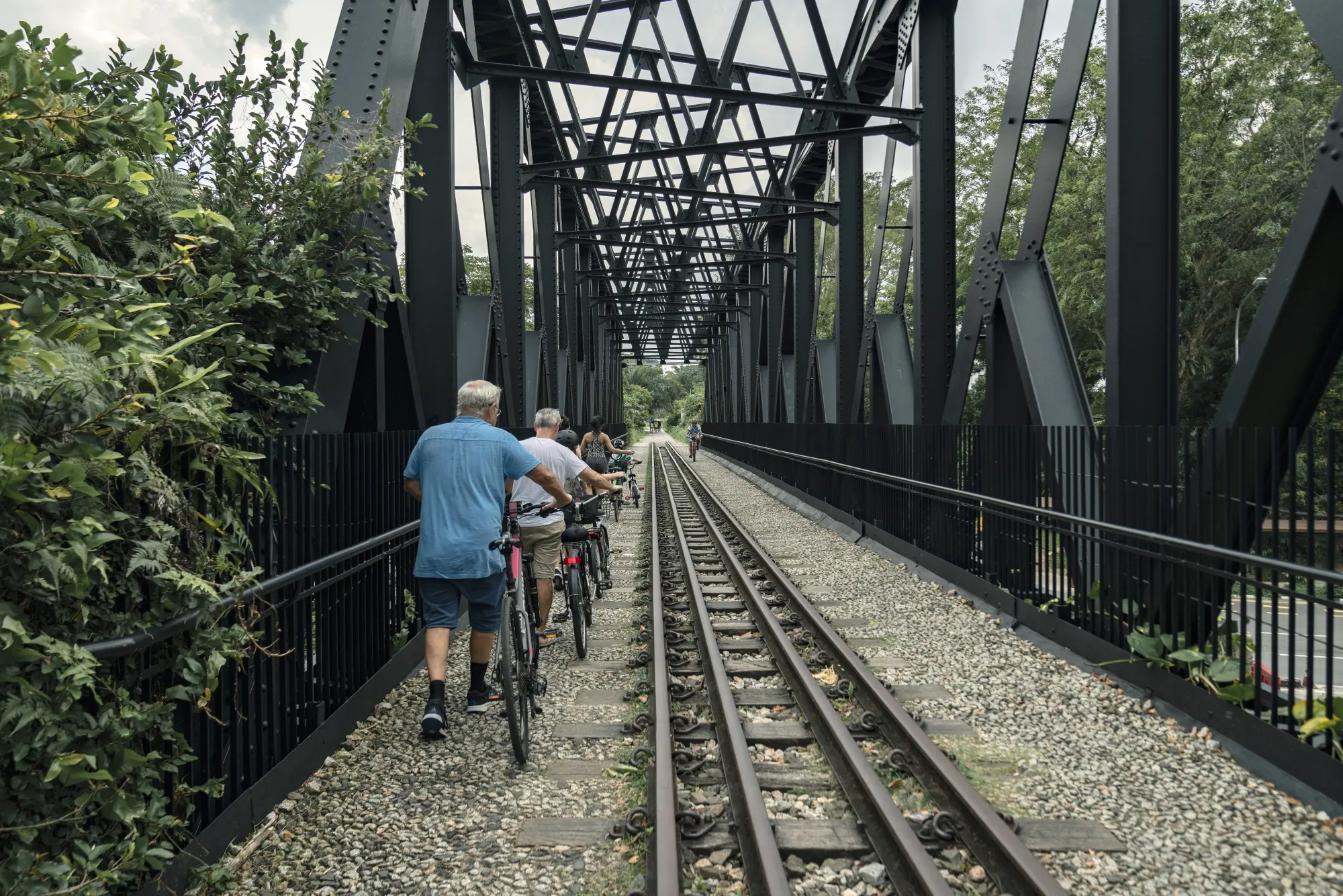 Bukit Timah Truss Bridge on the Rail Corridor.