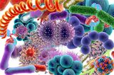 To Save Humanity, Listen to the Microbes