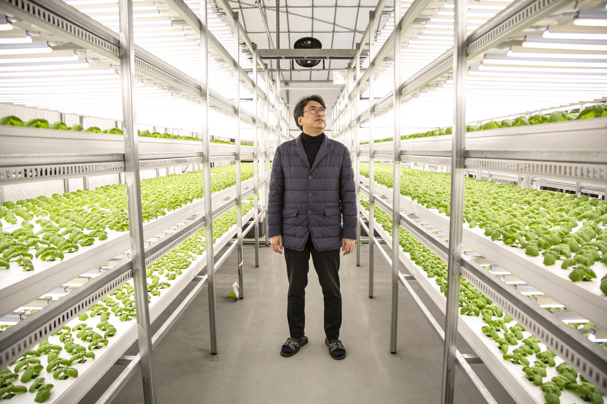 Korean Smart Farm Start-up Farm 8