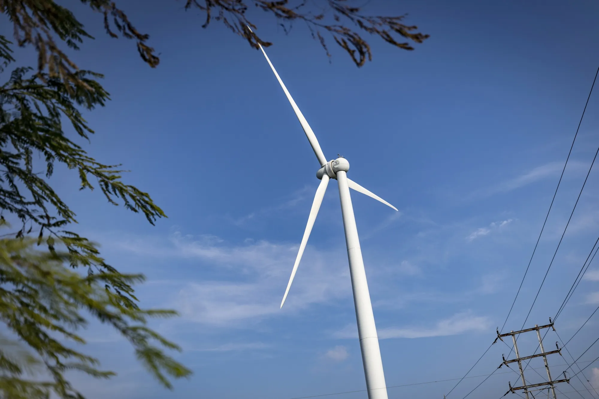 Demand for carbon credits may grow more than 40-fold over the next three decades, according to&nbsp;BloombergNEF&nbsp;projections.