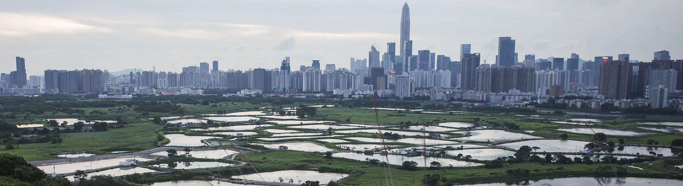 1504653215_shenzhen lede