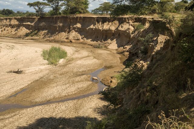 Mushumbi Pools, Mbire, Zimbabwe, on May 14. This area of Zimbabwe has had to contend with impacts from warming global temperatures, from droughts to floods and cyclones, even though the nation emits far less carbon than many other countries. Photographer: Cynthia R Matonhodze/Bloomberg
