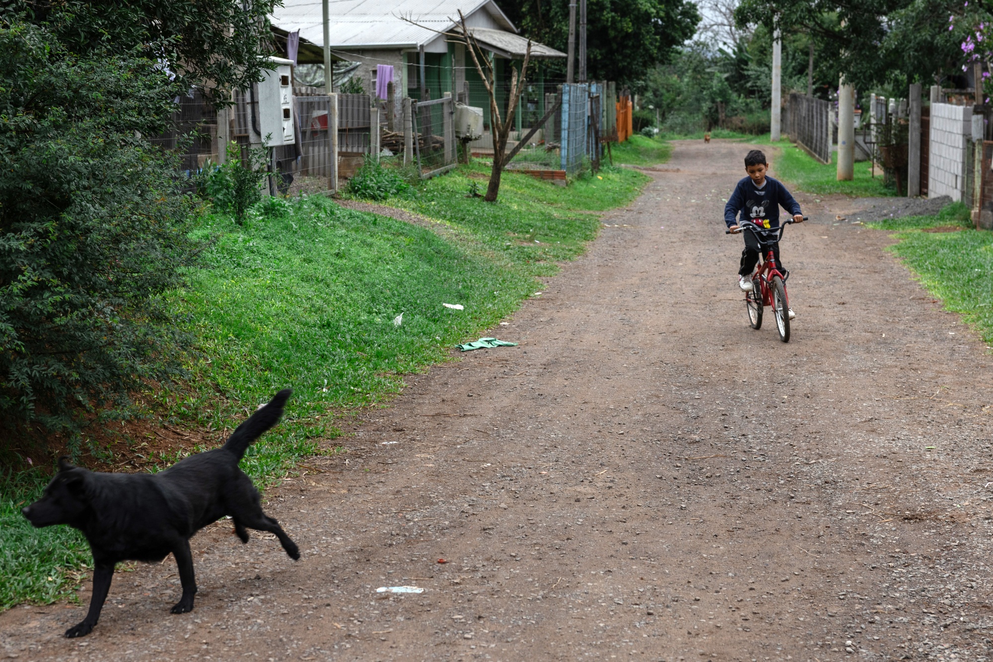 Brazil Offers Venezuelans Jobs in Growing Migrant Crisis