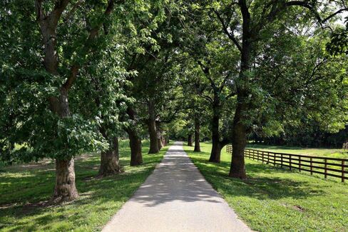 The estate’s most renowned feature is the driveway, designed by the Olmsted Brothers.