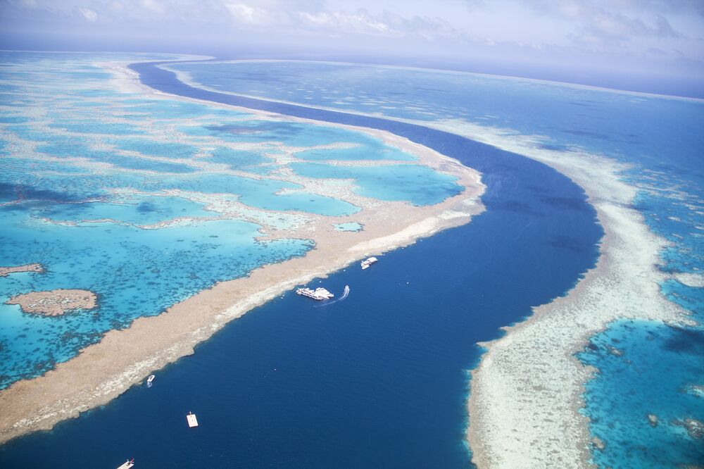 Is the great barrier reef recovering