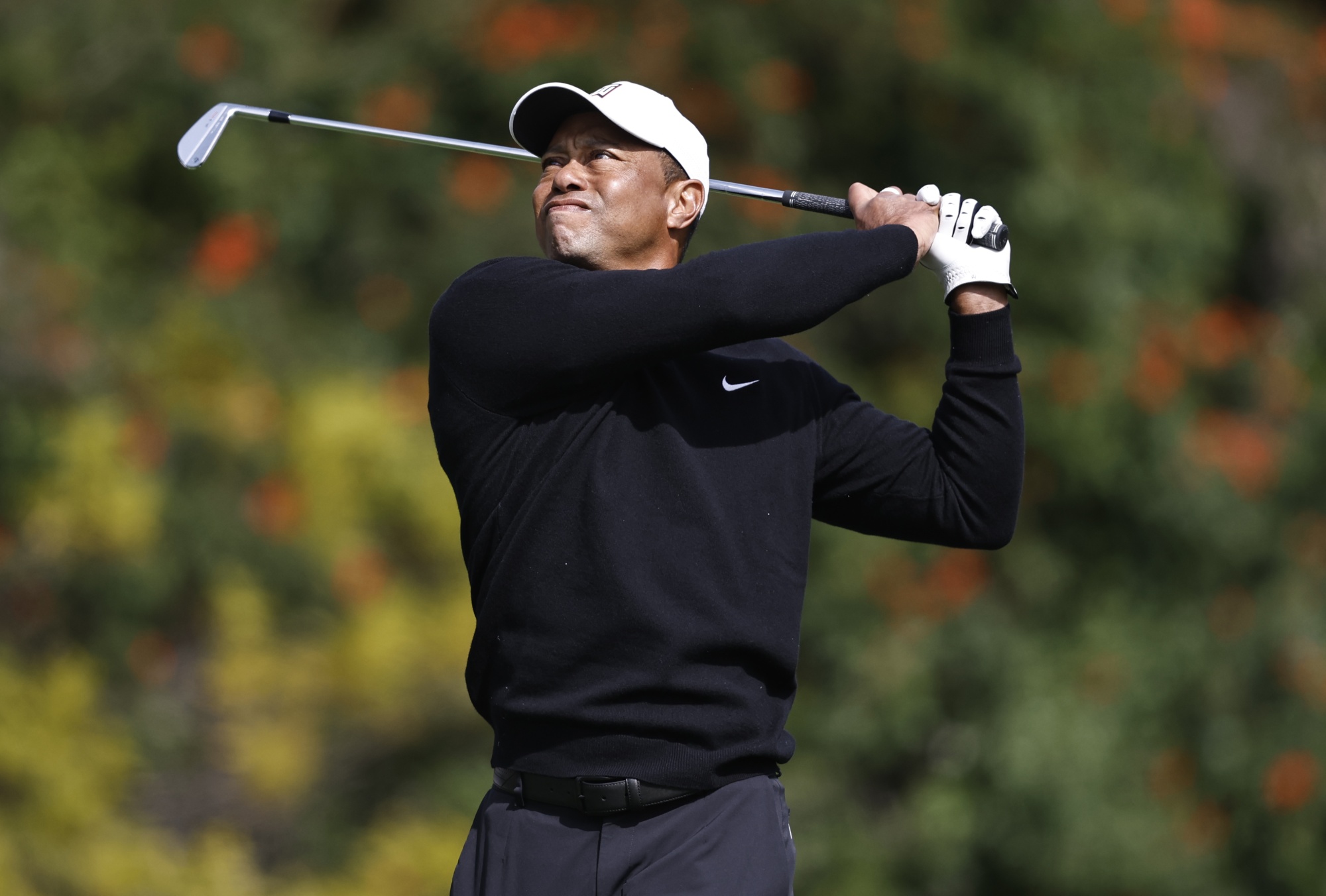 Golf Tiger Woods Goes Viral at Riviera