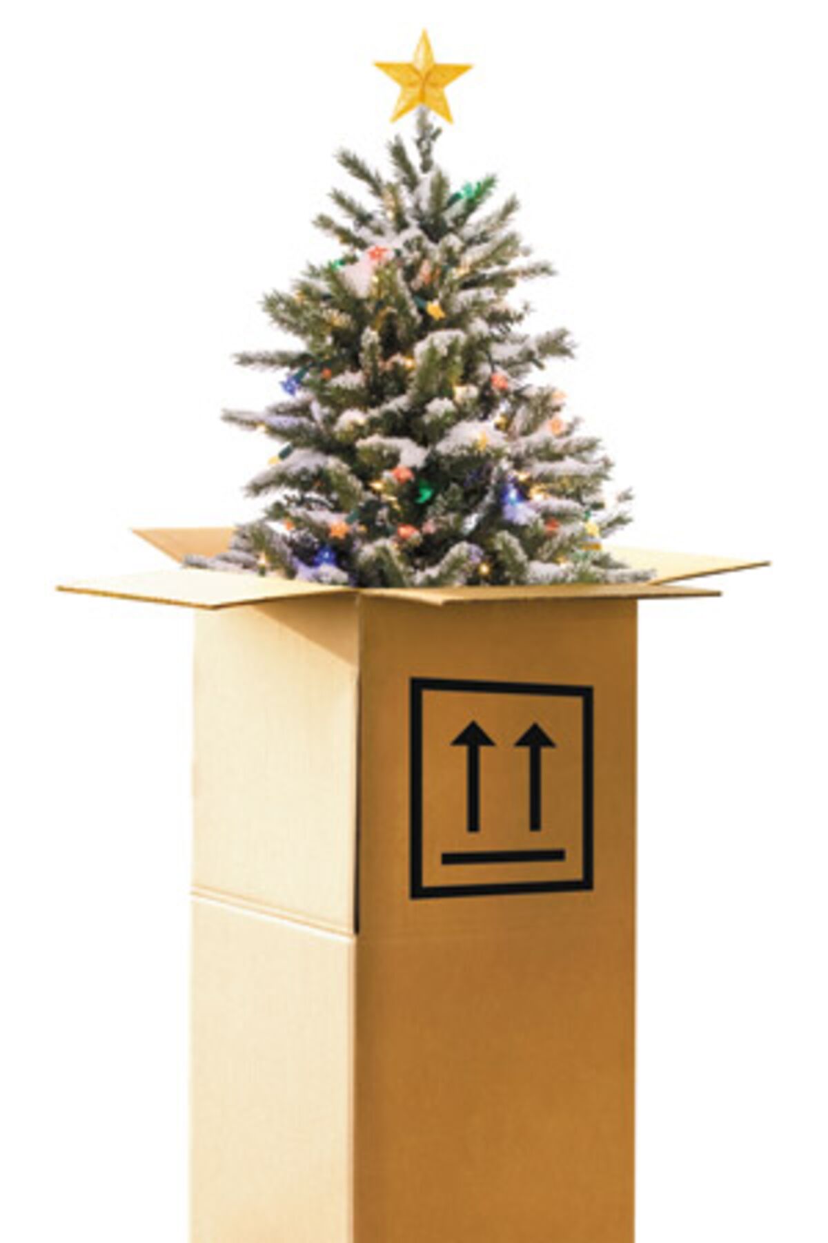 Online Christmas Tree Orders Rising as Convenience Trumps Tradition