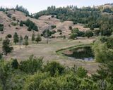 This Old Golf Course Is Now a Nature Preserve