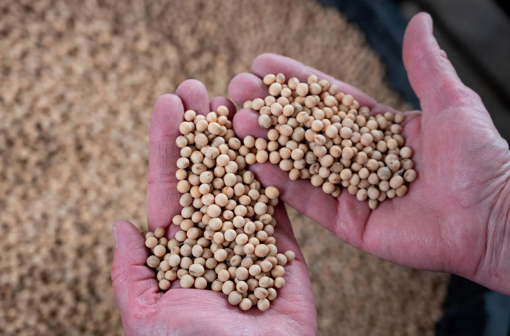 This agreement doesn’t amount to much more than a hill of soybeans.