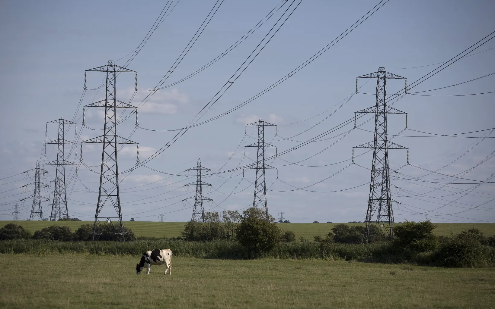 A cow grazes in a field beneath power transmission lines near Bridgwater, U.K.