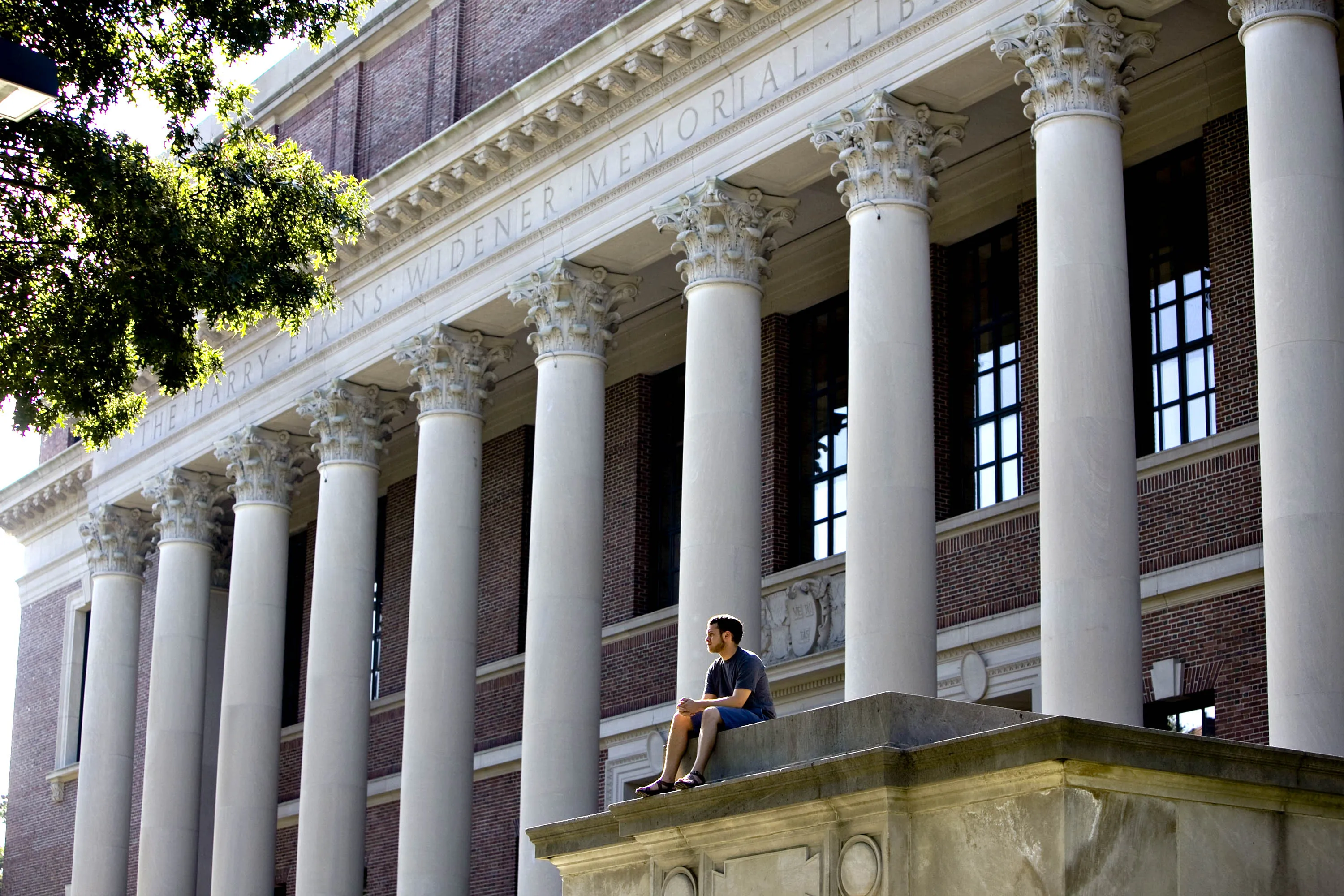 Harvard's Endowment Losses Slow Development