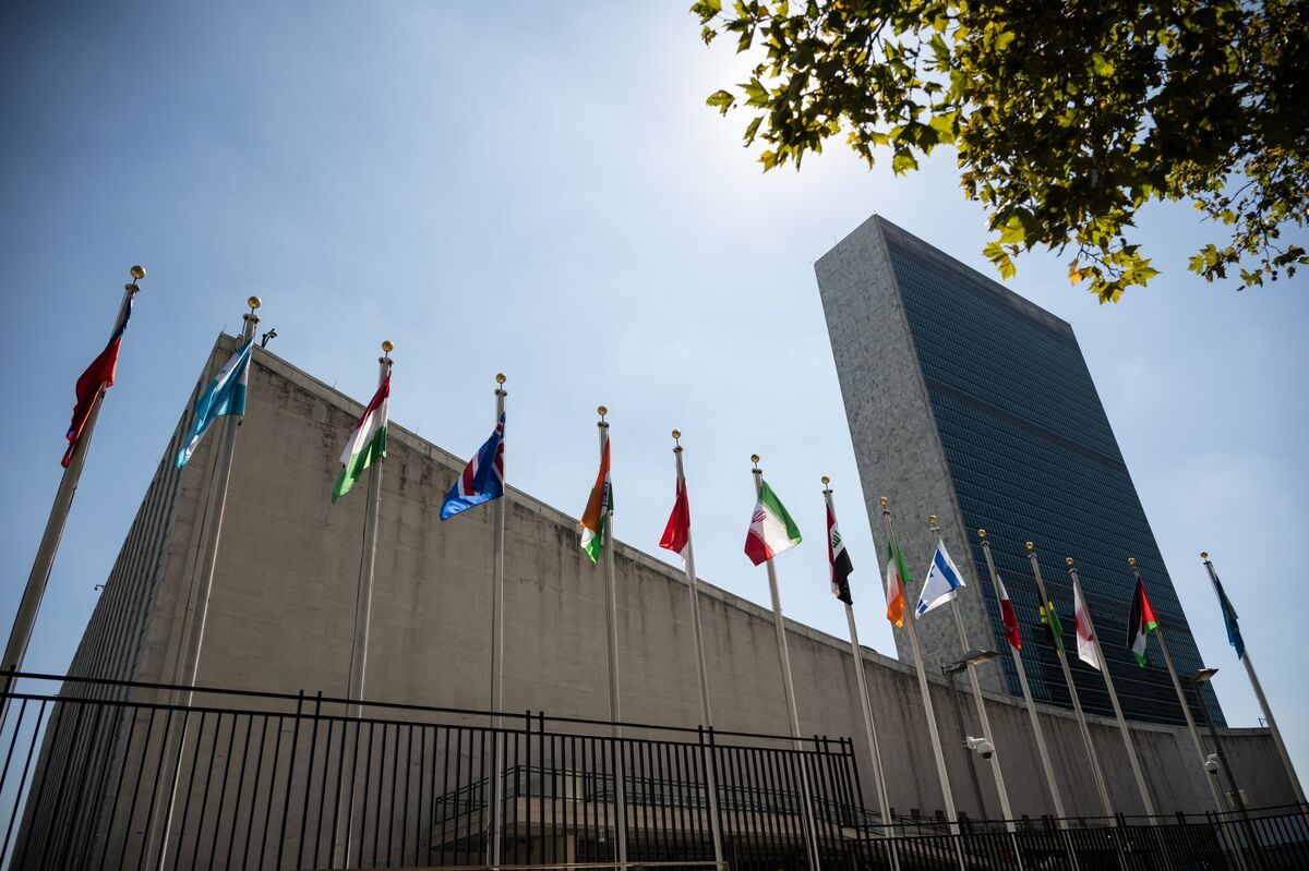 UN Draft Treaty Aims to Boost Nations’ Rights to Tax Tech Giants