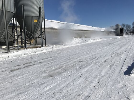 Farmers Forge Ahead as Cold Snap Freezes America's Midwest