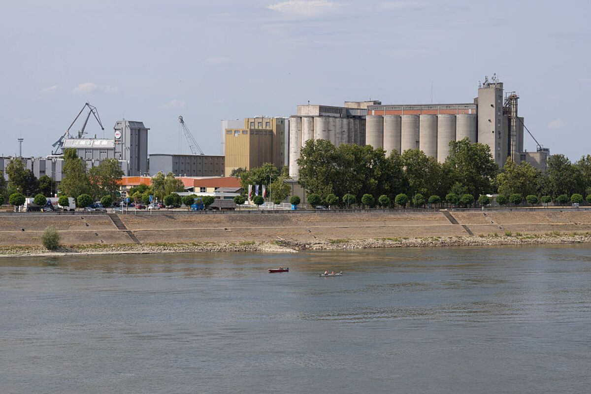 Record-Low Danube Strains Vital Route for Black Sea Grain