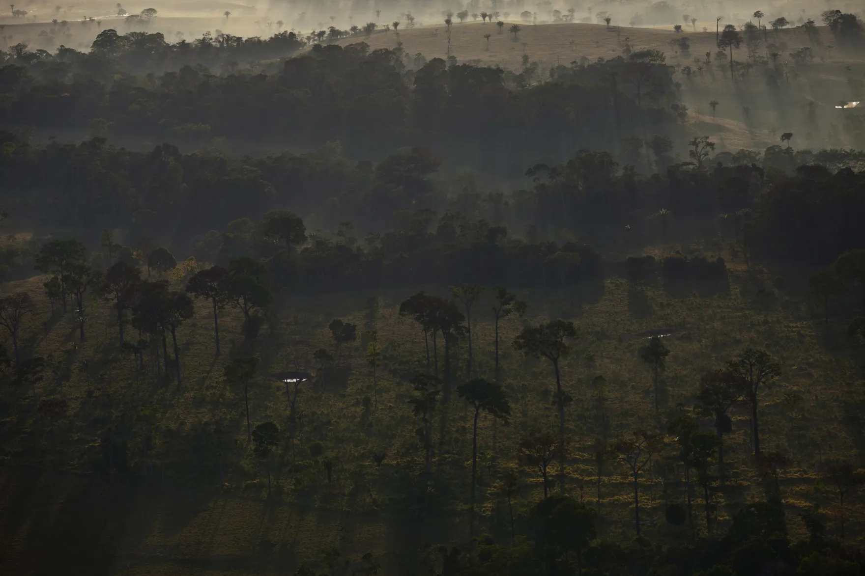 Aerial Views of the Brazilian Amazon