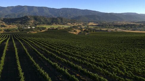 Happy Canyon Vineyard.