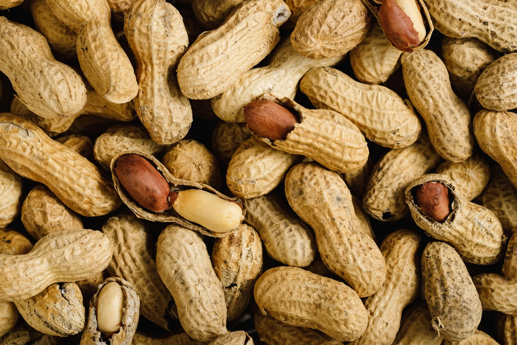 DBV isn’t alone in trying to tackle the peanut threat as food allergies soar.