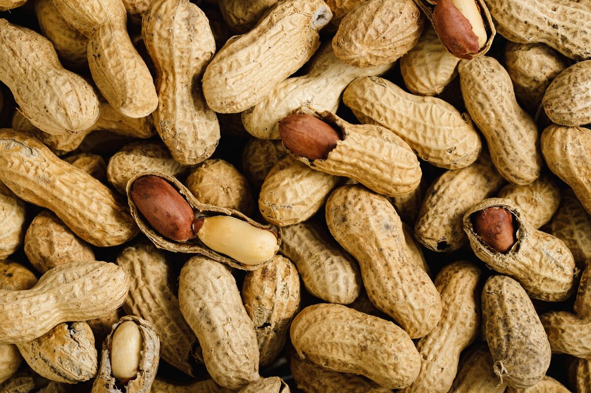 Peanut Allergy Breakthrough Hopes Boost DBV After Nestlé’s Flop