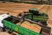 Greek Wheat Harvest As Global Food Threats Are On the Rise