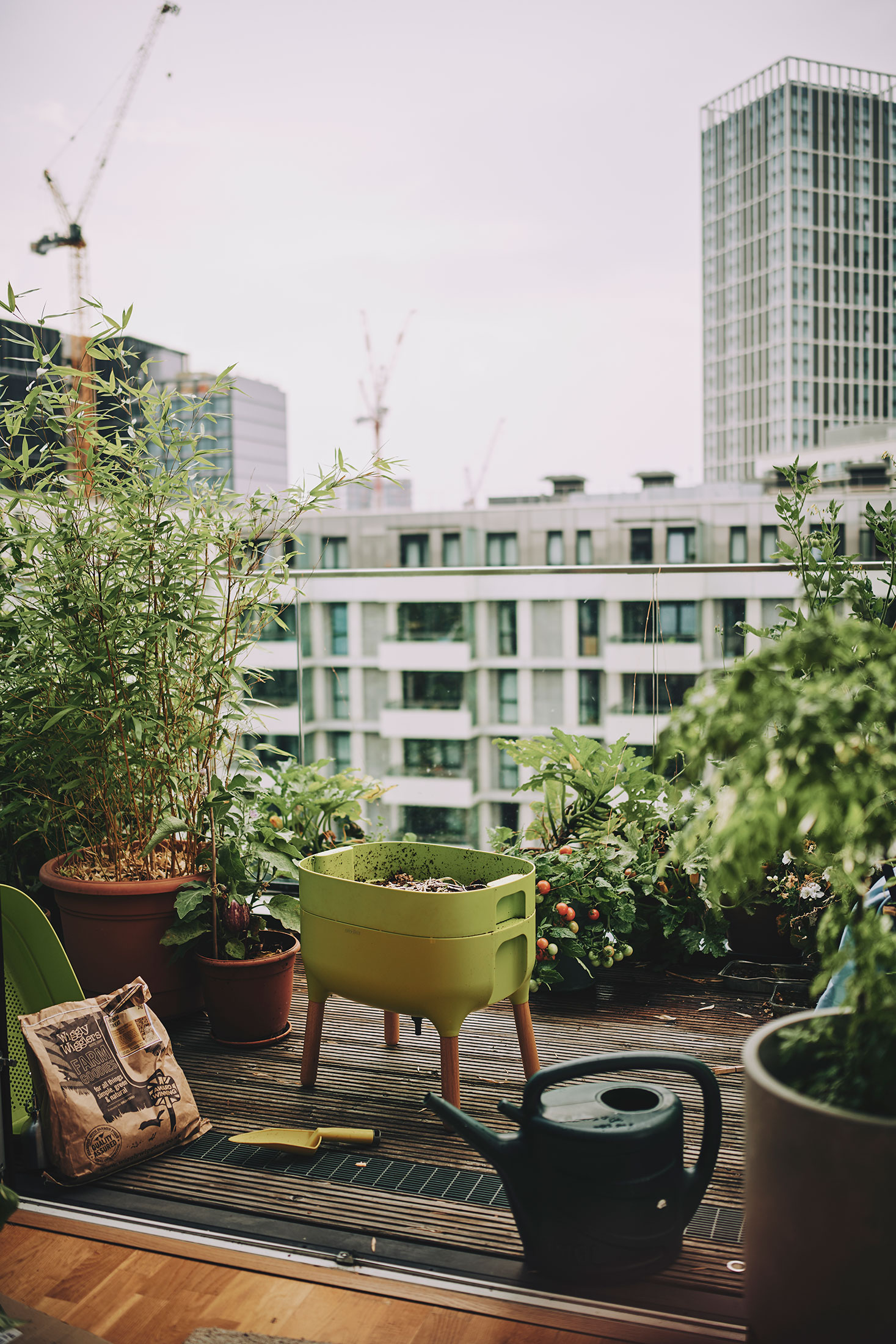 Try composting in your apartment – with a worm bin 🐛 - Wasteland Rebel