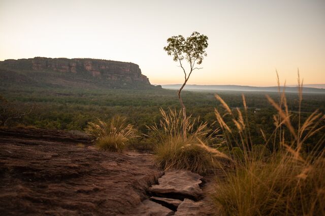 Outback in Western Australia. 
