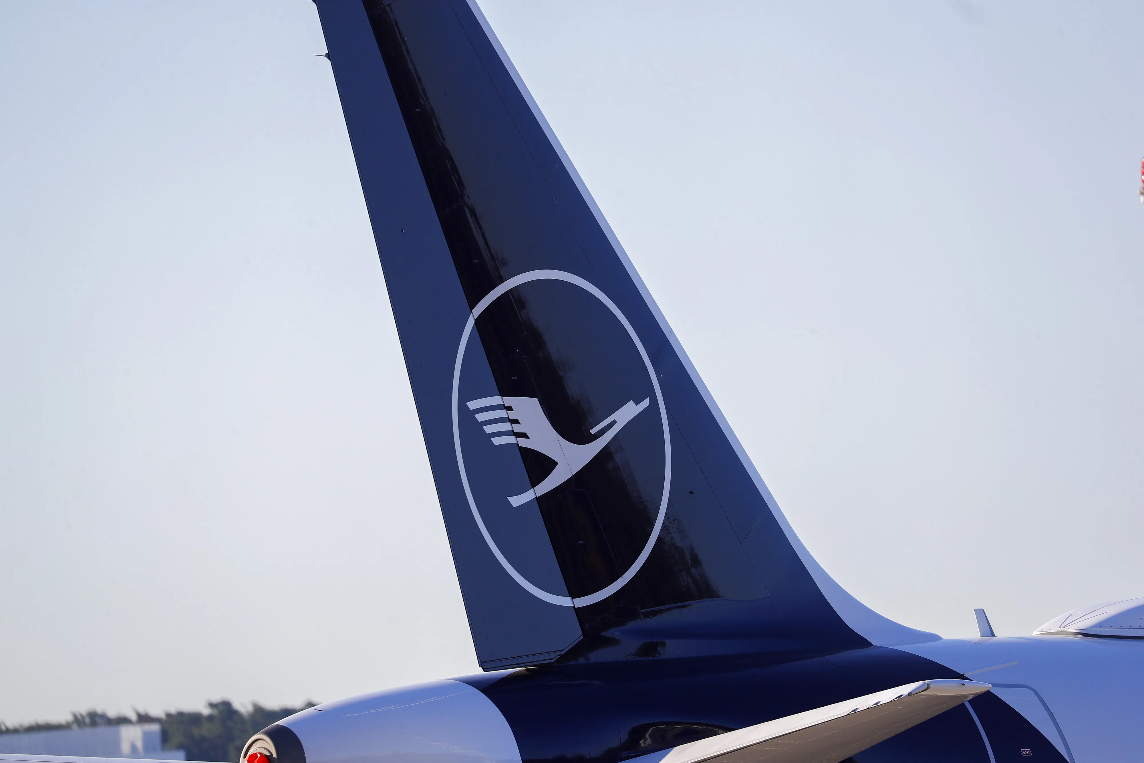 Deutsche Lufthansa AG Operations Ahead Of Crucial Shareholder Meeting