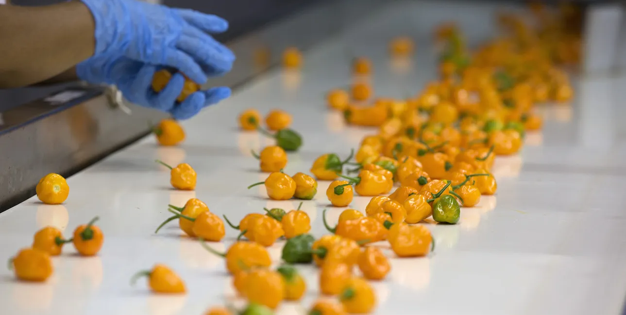 If weather were measured in peppers, last month would be an habanero.
