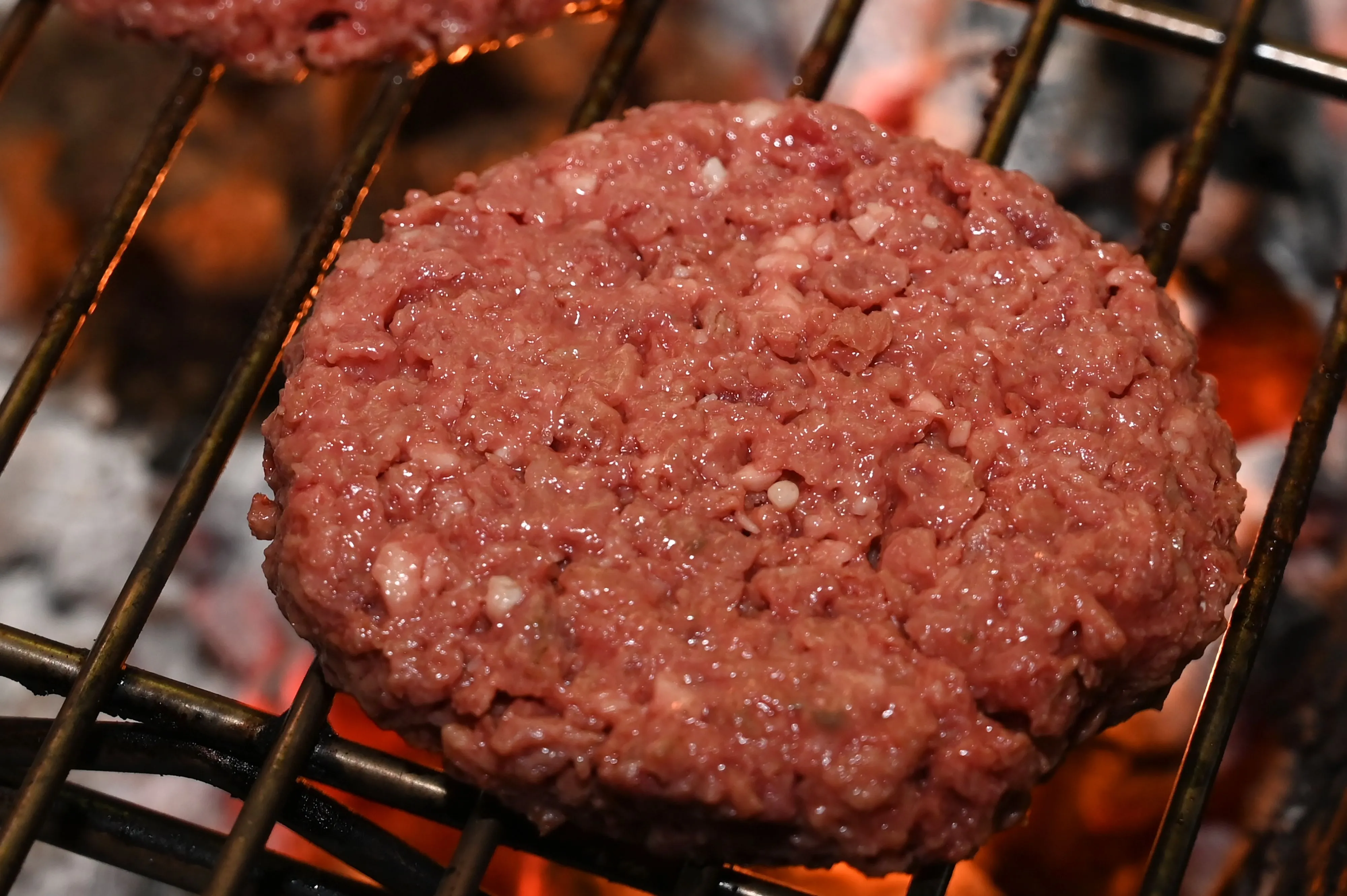 The Impossible Burger
