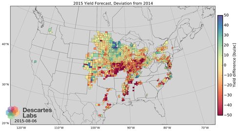 2015 Yield Forecast
