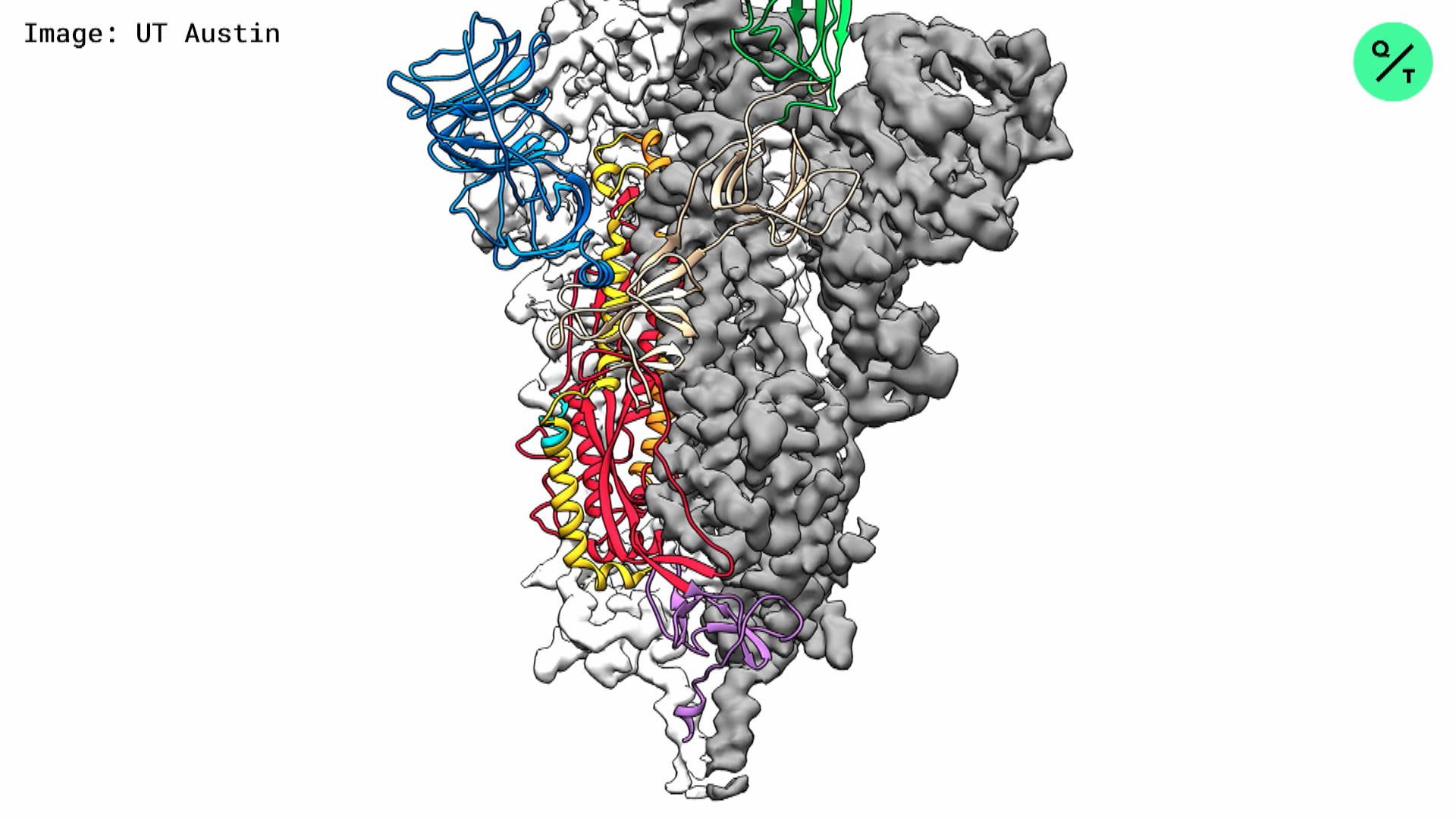 新型コロナの３ｄマップを作成 Bloomberg